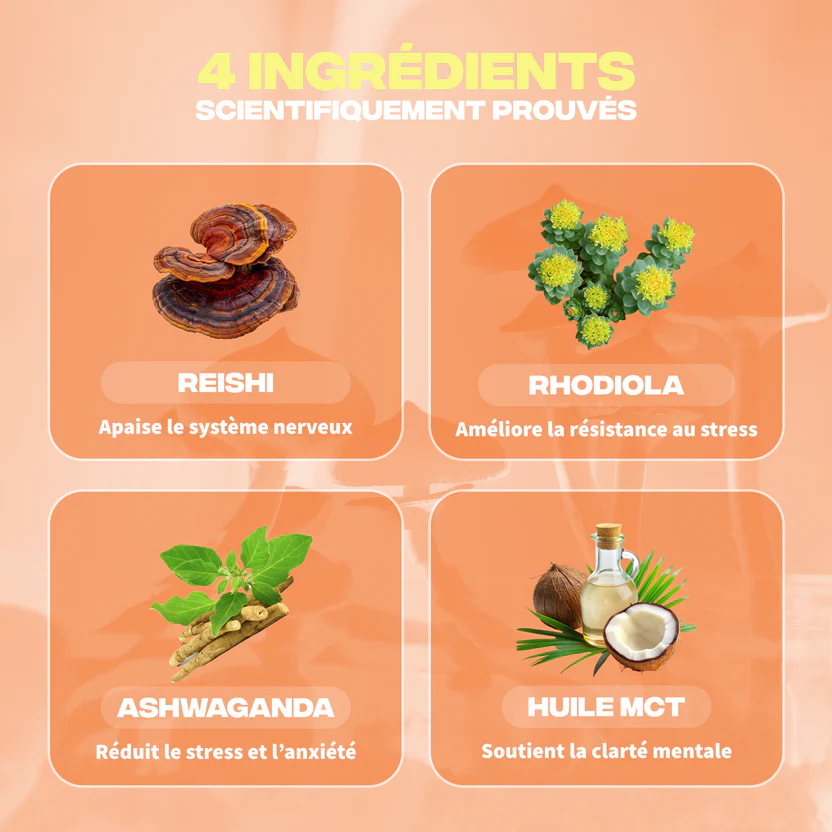 Anti-stress rieshi ashwagandha rhodiola huile mct - MushNgo, complément naturel pour bien-être et relaxation.