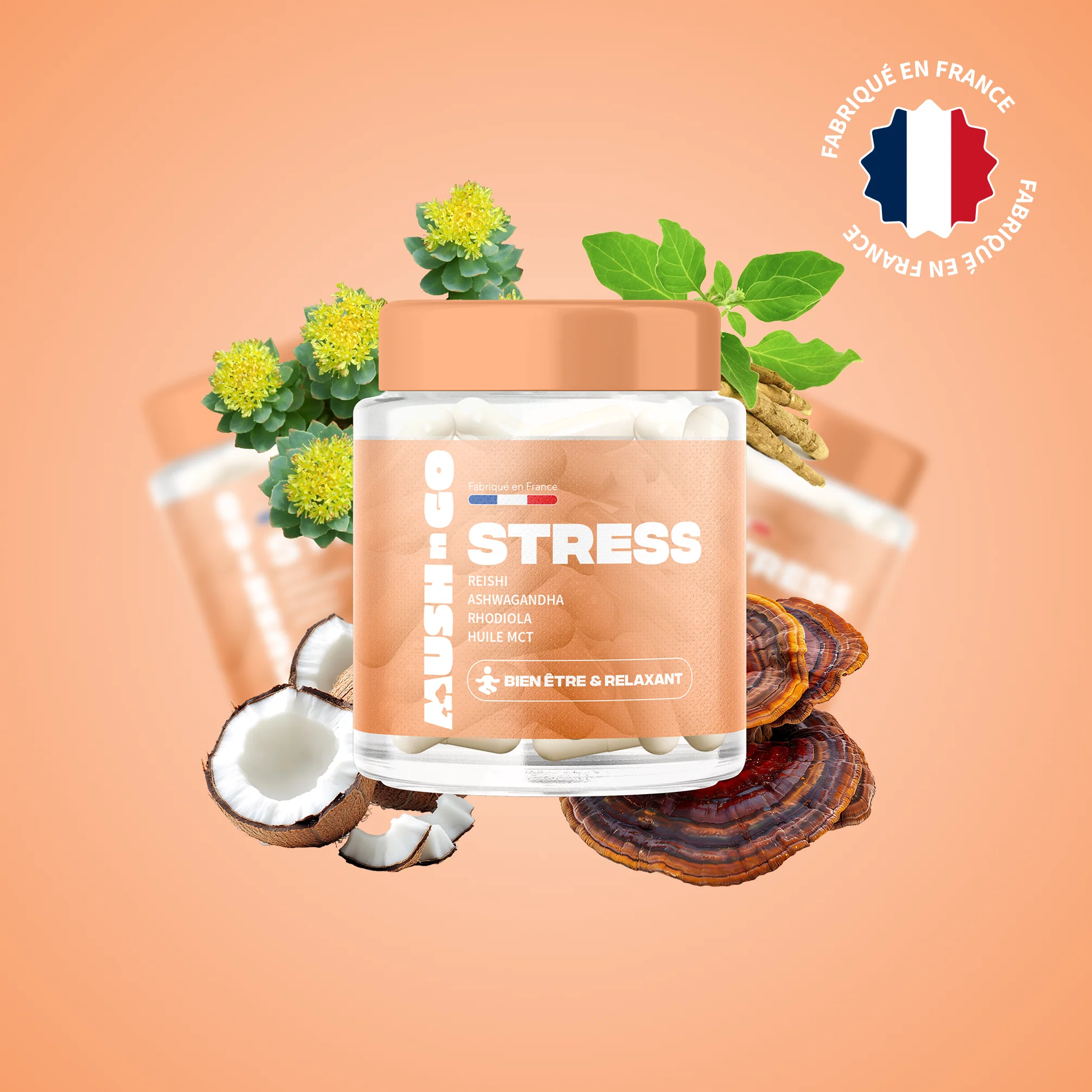 Anti-stress rieshi ashwagandha rhodiola huile mct - MushNgo, complément naturel pour bien-être et relaxation.