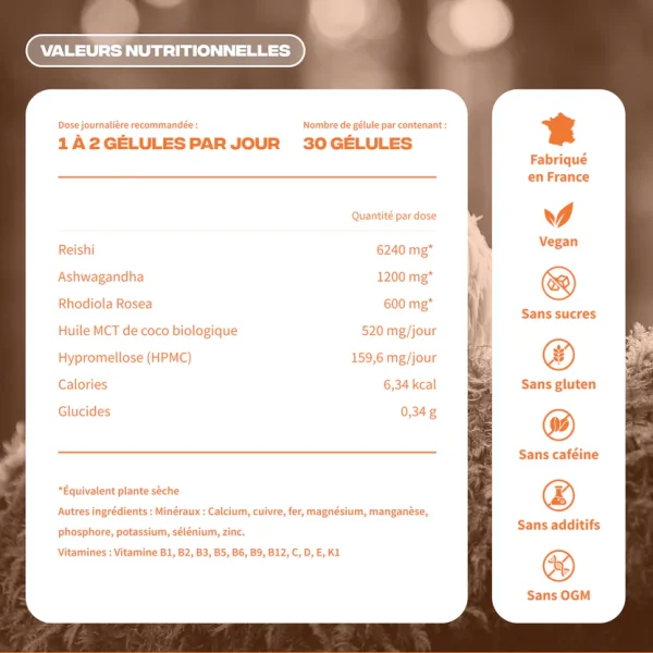 Anti-stress rieshi ashwagandha rhodiola huile mct - MushNgo, complément naturel pour bien-être et relaxation.