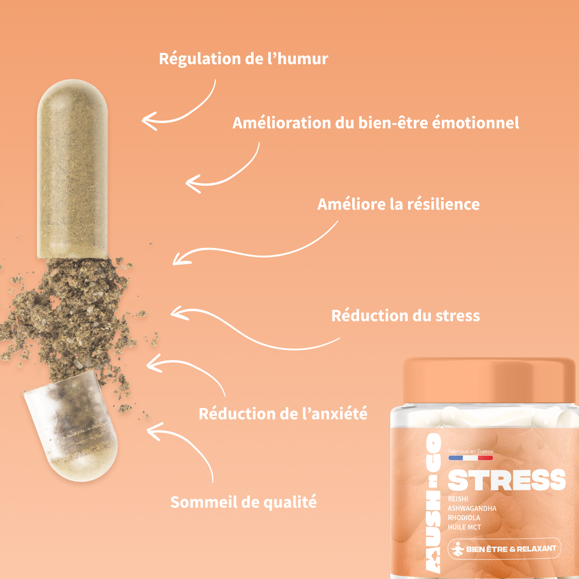 Anti-stress rieshi ashwagandha rhodiola huile mct - MushNgo, complément naturel pour bien-être et relaxation.