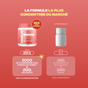 Energie cordyceps maca ginseng de sibérie huile mct - MushNgo, complément naturel pour énergie et libido