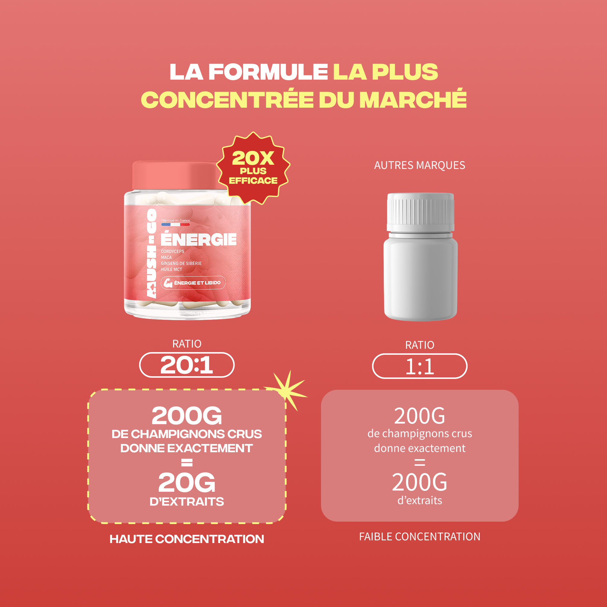 Energie cordyceps maca ginseng de sibérie huile mct - MushNgo, complément naturel pour énergie et libido