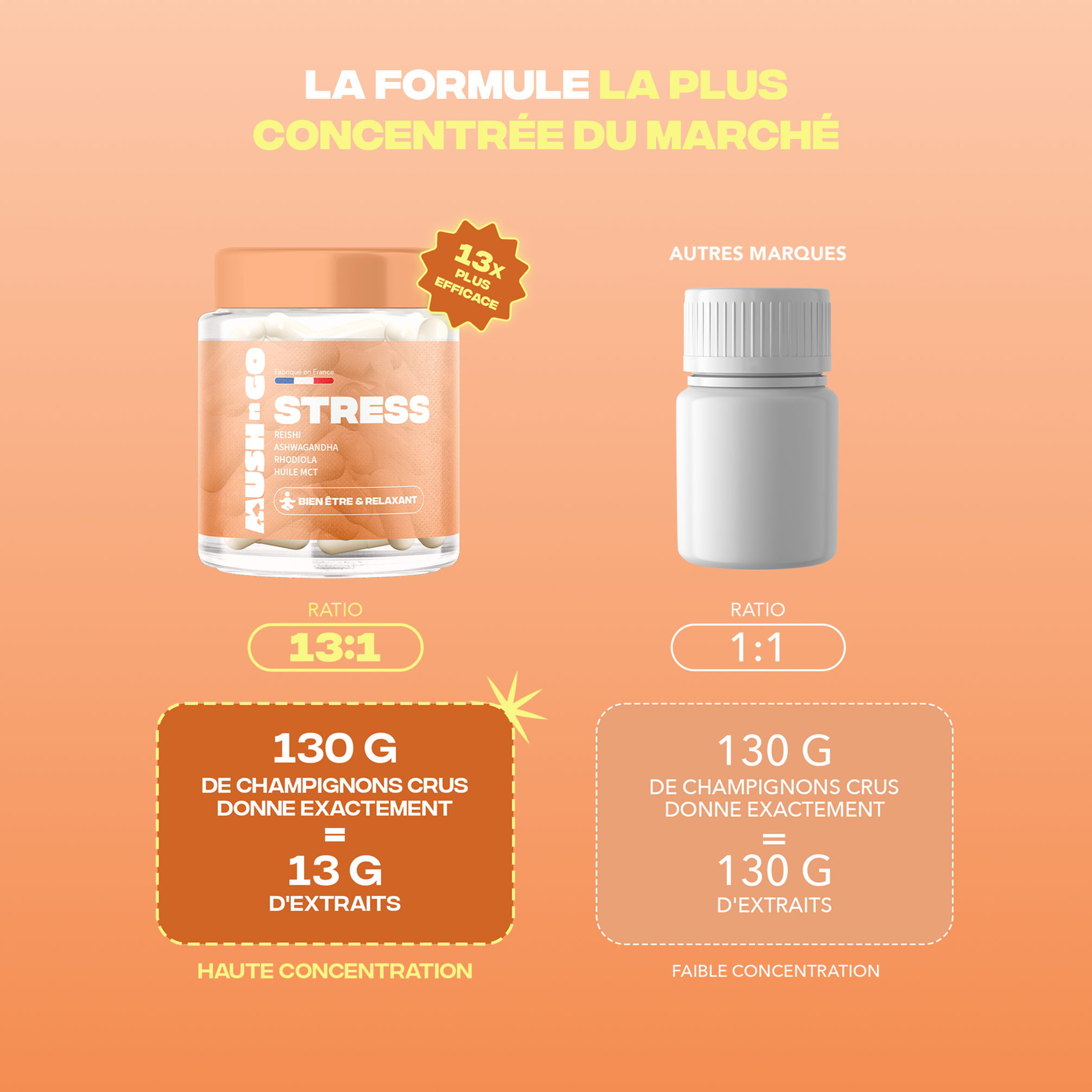 Anti-stress rieshi ashwagandha rhodiola huile mct - MushNgo, complément naturel pour bien-être et relaxation.