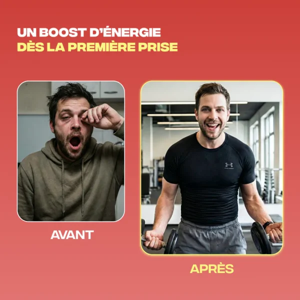 Energie cordyceps maca ginseng de sibérie huile mct - MushNgo, complément naturel pour énergie et libido
