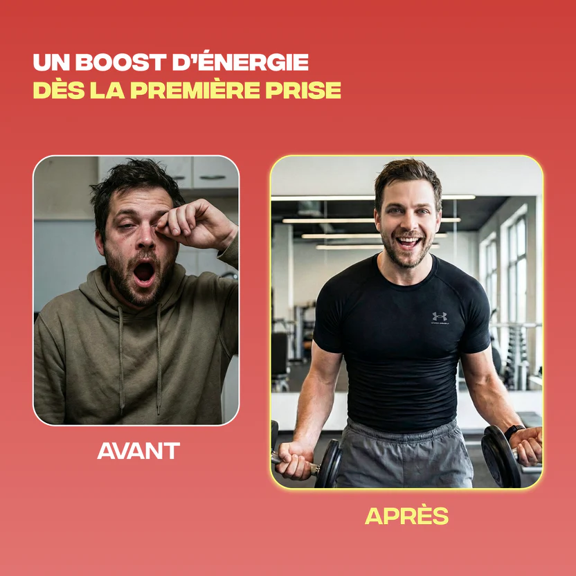 Energie cordyceps maca ginseng de sibérie huile mct - MushNgo, complément naturel pour énergie et libido