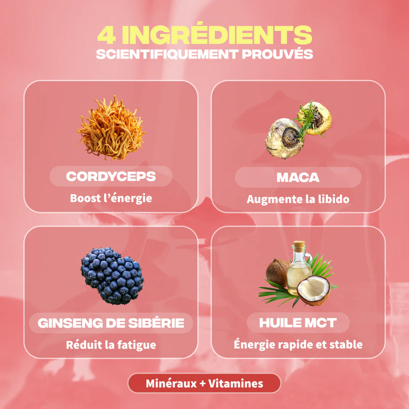 Energie cordyceps maca ginseng de sibérie huile mct - MushNgo, complément naturel pour énergie et libido