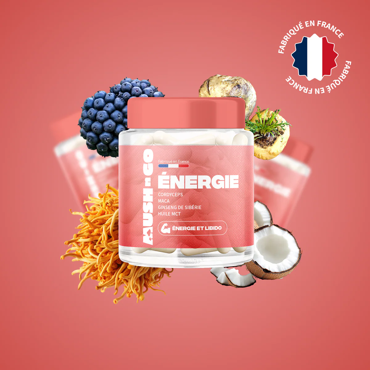 Energie cordyceps maca ginseng de sibérie huile mct - MushNgo, complément naturel pour énergie et libido